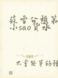 苏雪公憩第一章小sao货水