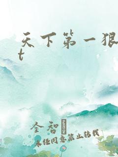 天下第一狠txt