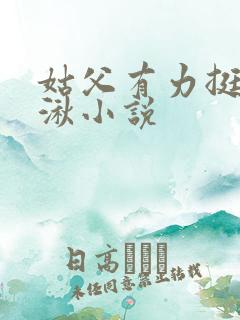 姑父有力挺送徐湫小说