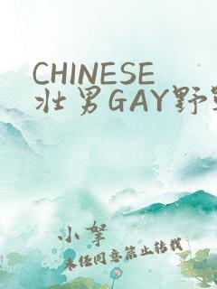 CHINESE壮男GAY野战强迫TUBE