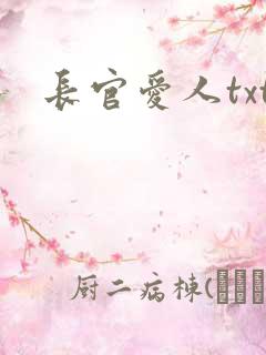 长官爱人txt