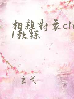相亲对象c1v1教练