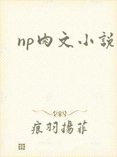 np肉文小说