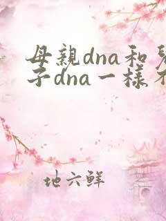 母亲dna和儿子dna一样不