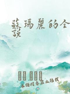 苏玛丽的全部小说