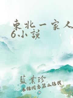 东北一家人1一6小说