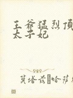 王爷猛烈顶弄H太子妃