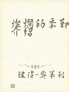 灿烂的季节剧情介绍