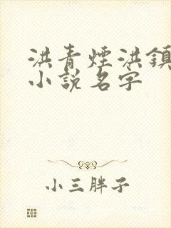 洪青烟洪镇国的小说名字