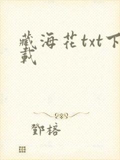 藏海花txt下载