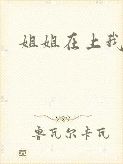 姐姐在上我在下