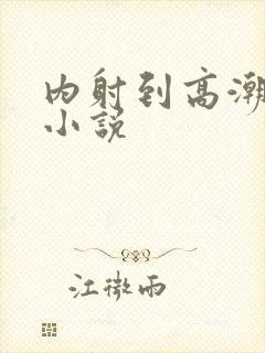 内射到高潮的H小说