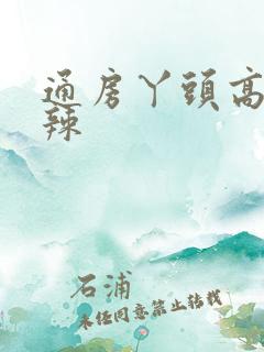 通房丫头高h肉辣