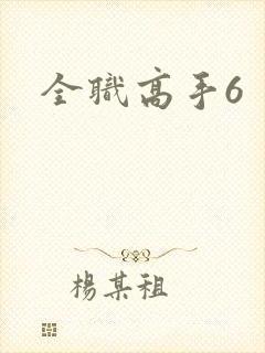 全职高手6