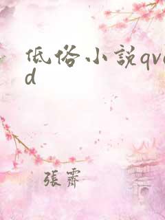 低俗小说qvod