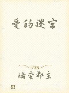 爱的迷宫