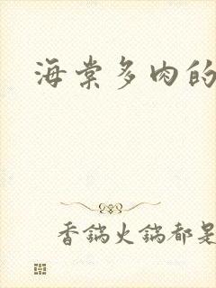 海棠多肉的文笔