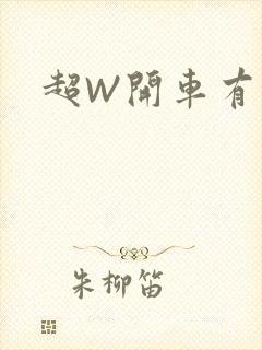 超W开车有过程