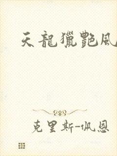 天龙猎艳风流