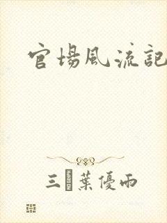 官场风流记