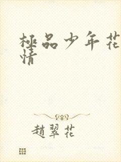 极品少年花都燃情