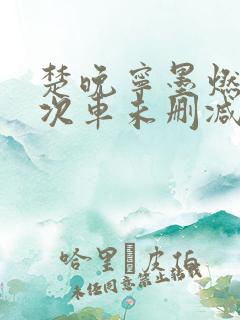 楚晚宁墨燃第一次车未删减