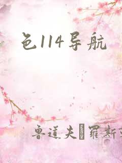 色114导航