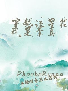 穿越流星花园之我是李真