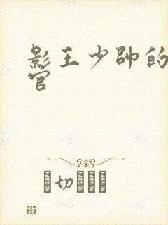 影王少帅的女长官