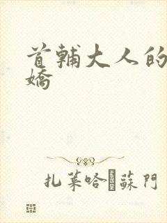 首辅大人的掌心娇