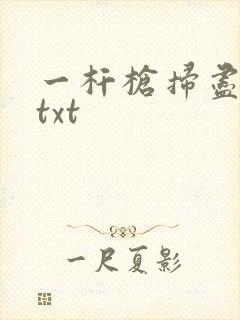 一杆枪扫尽全家txt