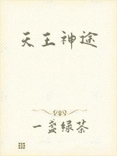 天王神途