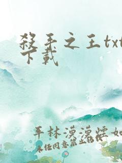 杀手之王txt下载