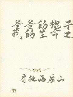 爸爸的棍子顶着我的生命之苏苗