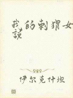 我的刺猬女孩小说