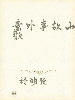 意外事故山月辞欢