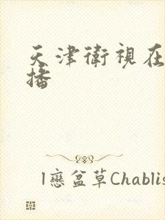 天津卫视在线直播