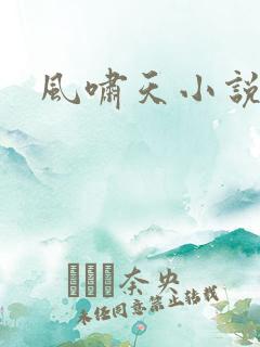 风啸天小说