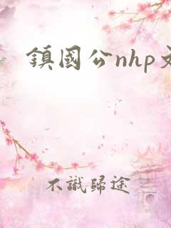 镇国公nhp文