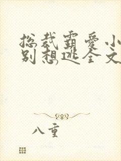 总裁霸爱小娇妻别想逃全文阅读免费