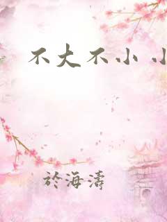 不大不小 小说