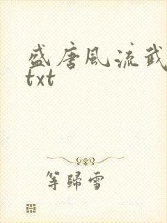 盛唐风流武状元txt