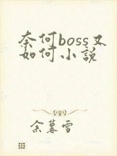 奈何boss又如何小说