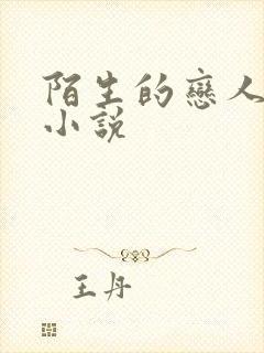 陌生的恋人原著小说