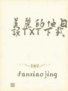 美丽的他日剧小说TXT下载