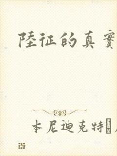 陆征的真实身份