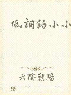 低调的小小宫女