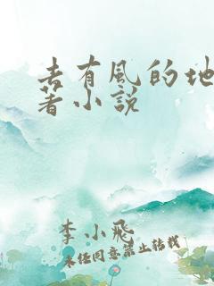 去有风的地方原著小说