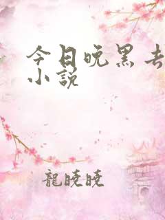 今日晚黑去见你小说