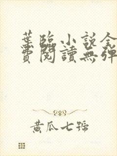 叶临小说全文免费阅读无弹窗